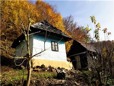 Doua case traditionale din lemn de stejar | Restaurare | Relocare